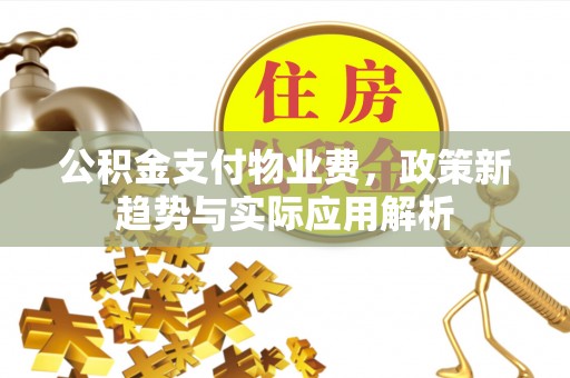 头城公积金支付物业费，政策新趋势与实际应用解析