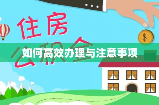 头城如何高效办理与注意事项