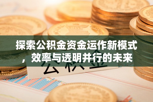 头城探索公积金资金运作新模式，效率与透明并行的未来