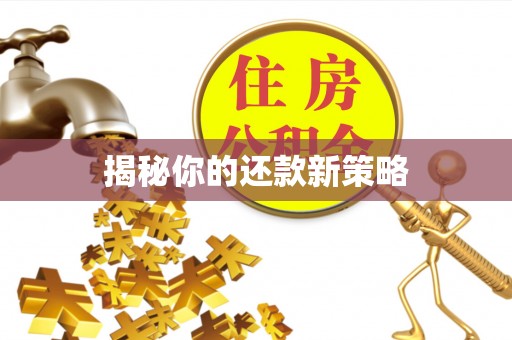 头城揭秘你的还款新策略