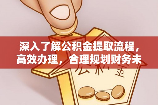 头城深入了解公积金提取流程，高效办理，合理规划财务未来