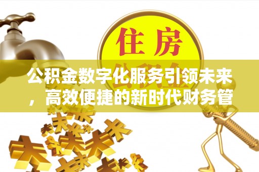 头城公积金数字化服务引领未来，高效便捷的新时代财务管理