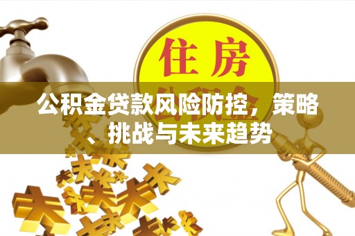 头城公积金贷款风险防控，策略、挑战与未来趋势