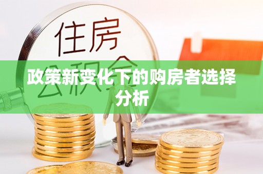 头城政策新变化下的购房者选择分析