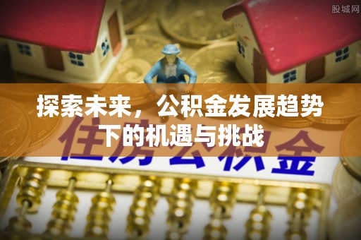 头城探索未来，公积金发展趋势下的机遇与挑战