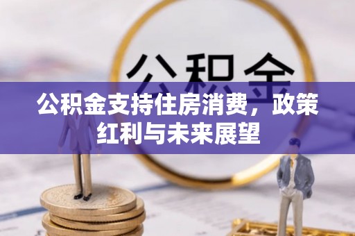 头城公积金支持住房消费，政策红利与未来展望