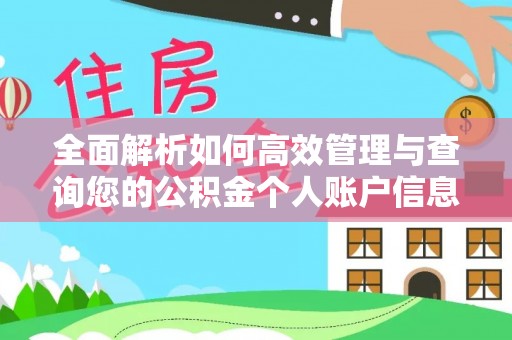 头城全面解析如何高效管理与查询您的公积金个人账户信息