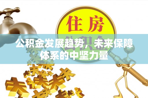 头城公积金发展趋势，未来保障体系的中坚力量