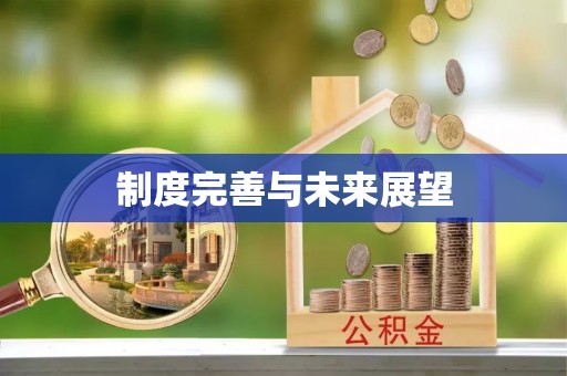 头城制度完善与未来展望