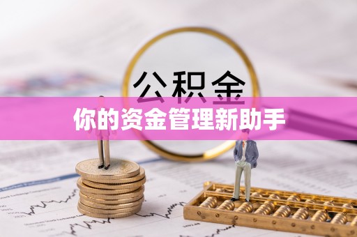 头城你的资金管理新助手