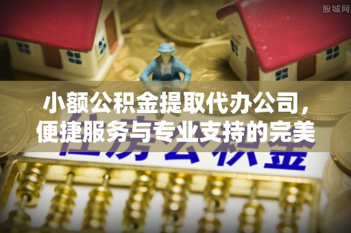 头城小额公积金提取代办公司，便捷服务与专业支持的完美结合