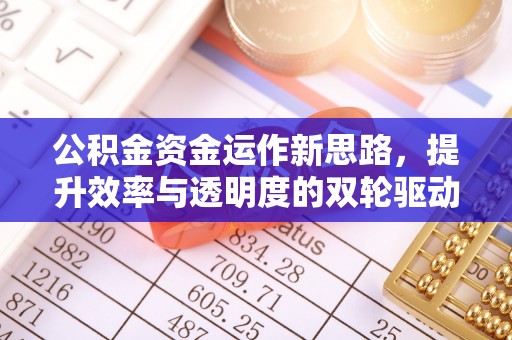 头城公积金资金运作新思路，提升效率与透明度的双轮驱动