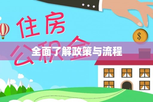 头城全面了解政策与流程