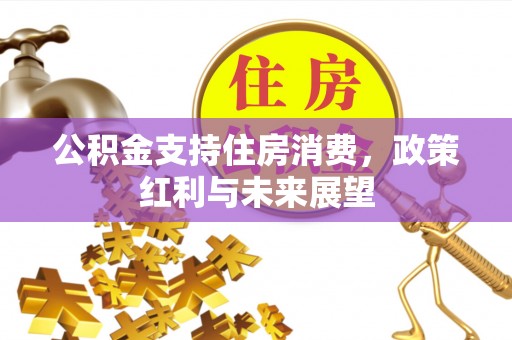 头城公积金支持住房消费，政策红利与未来展望