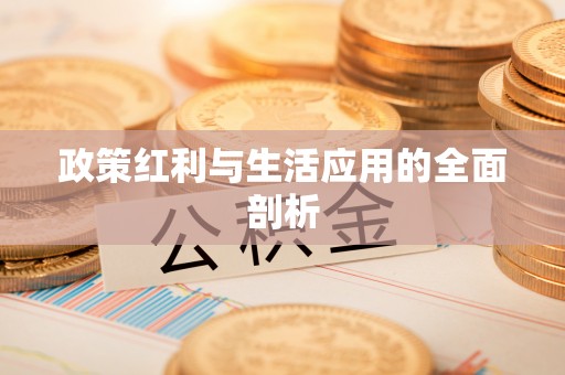头城政策红利与生活应用的全面剖析