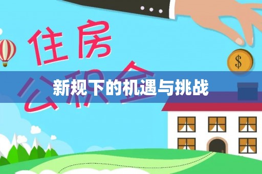 头城新规下的机遇与挑战
