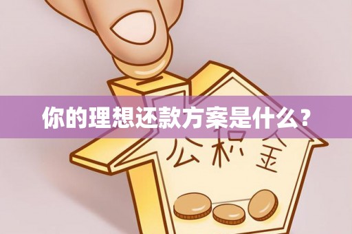 头城你的理想还款方案是什么？
