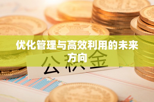 头城优化管理与高效利用的未来方向