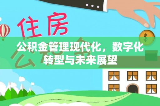 头城公积金管理现代化，数字化转型与未来展望