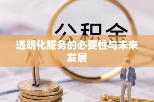 头城透明化服务的必要性与未来发展