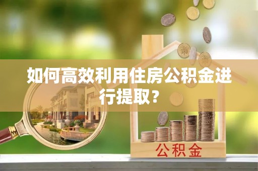 头城如何高效利用住房公积金进行提取？