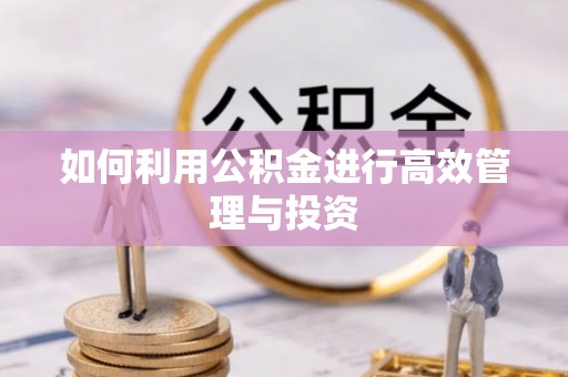头城如何利用公积金进行高效管理与投资