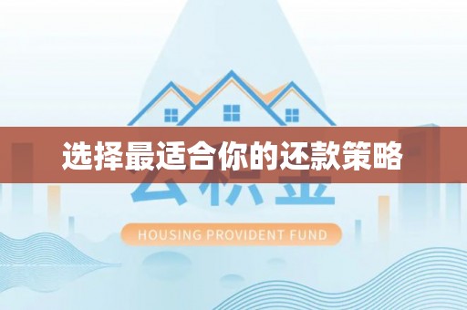 头城选择最适合你的还款策略